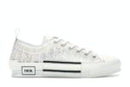 Dior B23 Low Top Oblique White