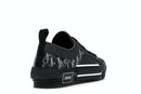 Dior B23 Low Top Canvas Oblique Black